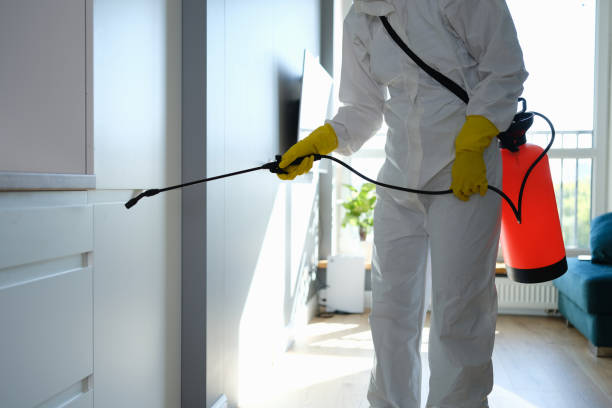 Best Home Mold Removal  in Gouldtown, NJ