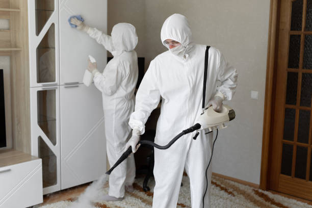 Best Mold Damage Repair  in Gouldtown, NJ