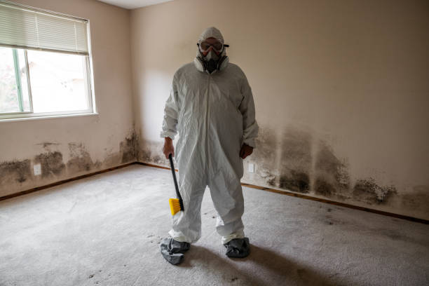 Best Fast Mold Removal  in Gouldtown, NJ