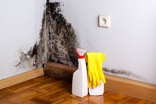 Best Crawl Space Mold Removal  in Gouldtown, NJ