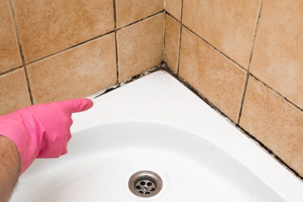 Best Mold Remediation Experts  in Gouldtown, NJ